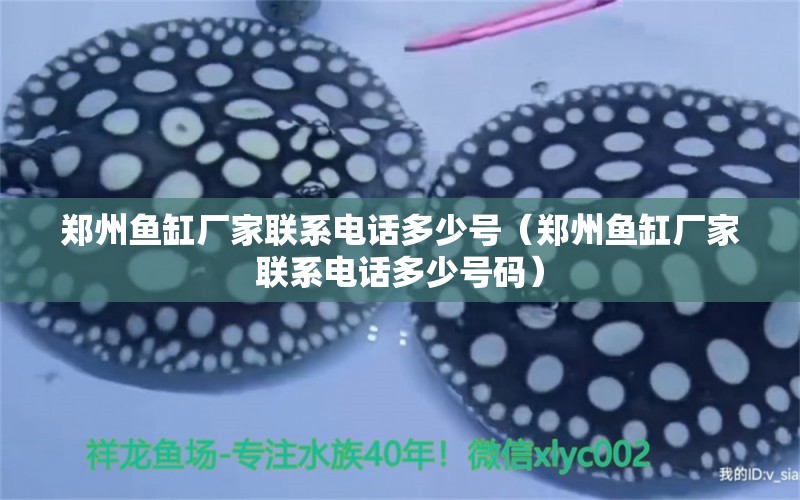 鄭州魚(yú)缸廠(chǎng)家聯(lián)系電話(huà)多少號(hào)（鄭州魚(yú)缸廠(chǎng)家聯(lián)系電話(huà)多少號(hào)碼）