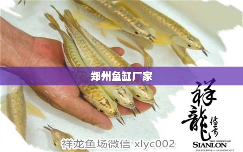 鄭州魚缸廠家