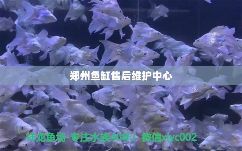 鄭州魚缸售后維護中心