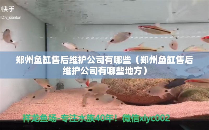 鄭州魚缸售后維護(hù)公司有哪些（鄭州魚缸售后維護(hù)公司有哪些地方） 其他品牌魚缸