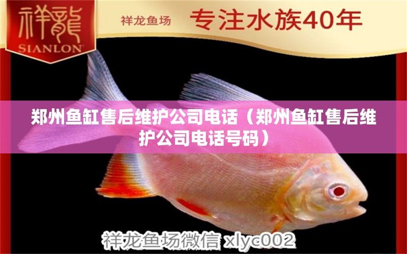 鄭州魚缸售后維護(hù)公司電話（鄭州魚缸售后維護(hù)公司電話號(hào)碼） 其他品牌魚缸