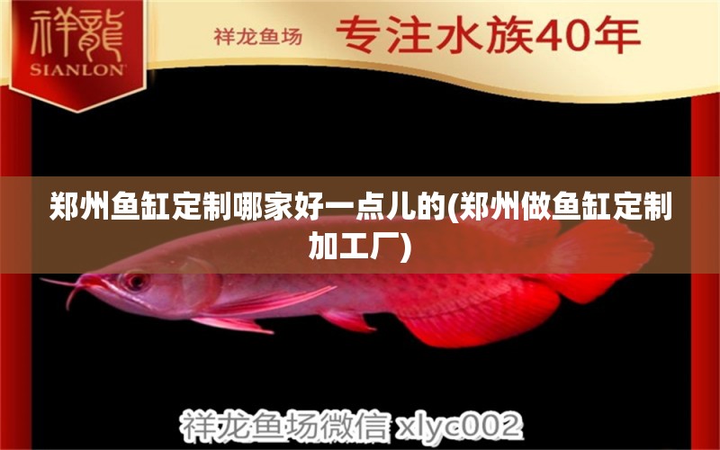 鄭州魚缸定制哪家好一點兒的(鄭州做魚缸定制加工廠) 福虎/異型虎魚/純色虎魚 第1張