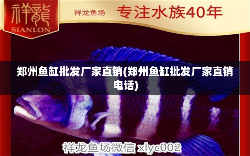 鄭州魚缸批發(fā)廠家直銷(鄭州魚缸批發(fā)廠家直銷電話) 羽毛刀魚苗