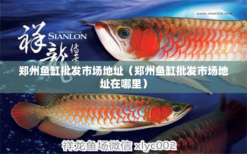 鄭州魚缸批發(fā)市場地址（鄭州魚缸批發(fā)市場地址在哪里）