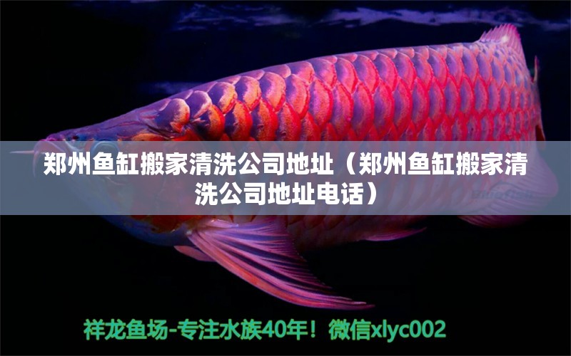 鄭州魚缸搬家清洗公司地址（鄭州魚缸搬家清洗公司地址電話）