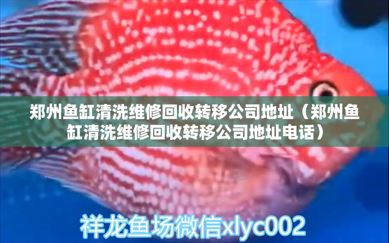 鄭州魚缸清洗維修回收轉(zhuǎn)移公司地址（鄭州魚缸清洗維修回收轉(zhuǎn)移公司地址電話）