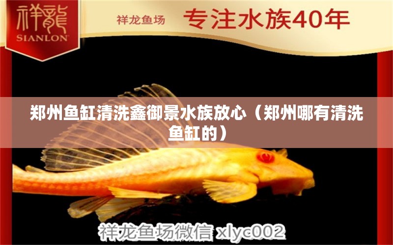 鄭州魚缸清洗鑫御景水族放心（鄭州哪有清洗魚缸的） 量子養(yǎng)魚技術(shù)