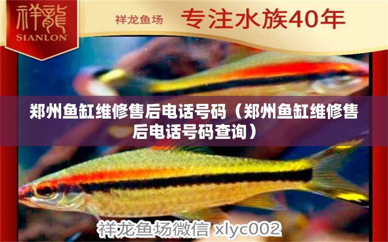 鄭州魚缸維修售后電話號碼（鄭州魚缸維修售后電話號碼查詢）