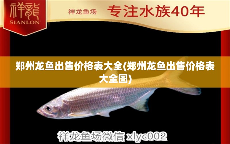 鄭州龍魚出售價格表大全(鄭州龍魚出售價格表大全圖) 過背金龍魚