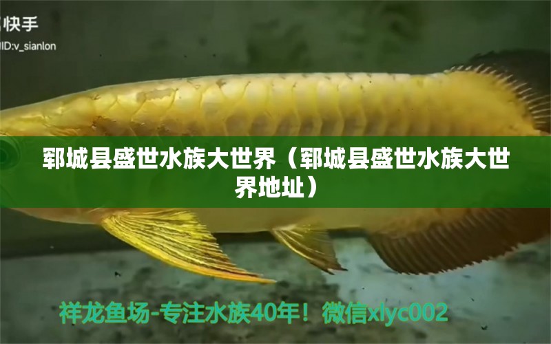 鄆城縣盛世水族大世界（鄆城縣盛世水族大世界地址） 全國水族館企業(yè)名錄