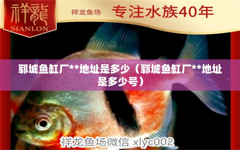 鄆城魚缸廠**地址是多少（鄆城魚缸廠**地址是多少號）