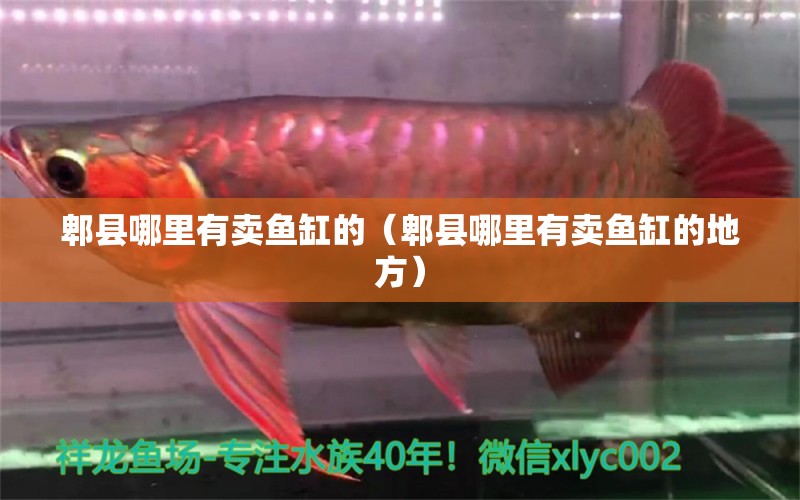 郫縣哪里有賣魚缸的（郫縣哪里有賣魚缸的地方）