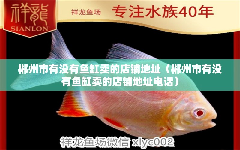 郴州市有沒有魚缸賣的店鋪地址（郴州市有沒有魚缸賣的店鋪地址電話） 觀賞魚市場（混養(yǎng)魚）