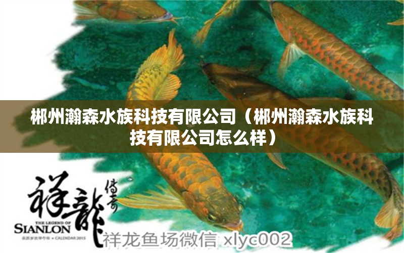 郴州瀚森水族科技有限公司（郴州瀚森水族科技有限公司怎么樣）