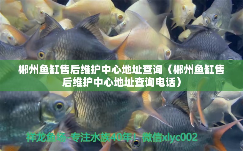 郴州魚缸售后維護中心地址查詢（郴州魚缸售后維護中心地址查詢電話） 其他品牌魚缸