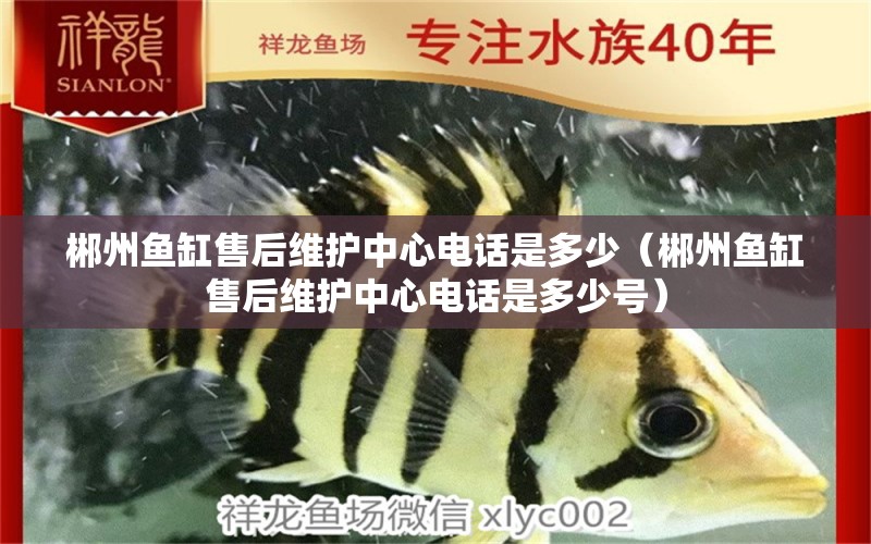 郴州魚(yú)缸售后維護(hù)中心電話是多少（郴州魚(yú)缸售后維護(hù)中心電話是多少號(hào)） 其他品牌魚(yú)缸