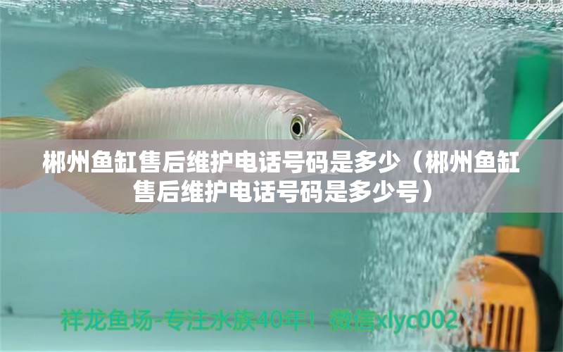 郴州魚缸售后維護(hù)電話號(hào)碼是多少（郴州魚缸售后維護(hù)電話號(hào)碼是多少號(hào)） 其他品牌魚缸