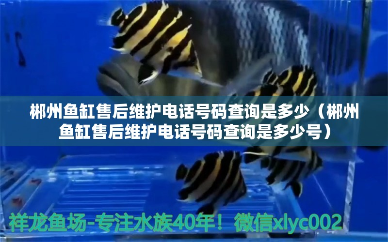 郴州魚缸售后維護電話號碼查詢是多少（郴州魚缸售后維護電話號碼查詢是多少號） 其他品牌魚缸