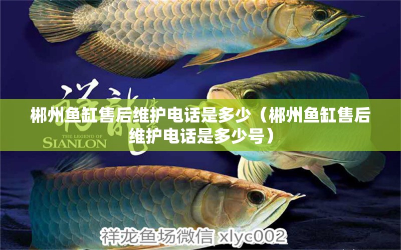 郴州魚缸售后維護(hù)電話是多少（郴州魚缸售后維護(hù)電話是多少號） 其他品牌魚缸