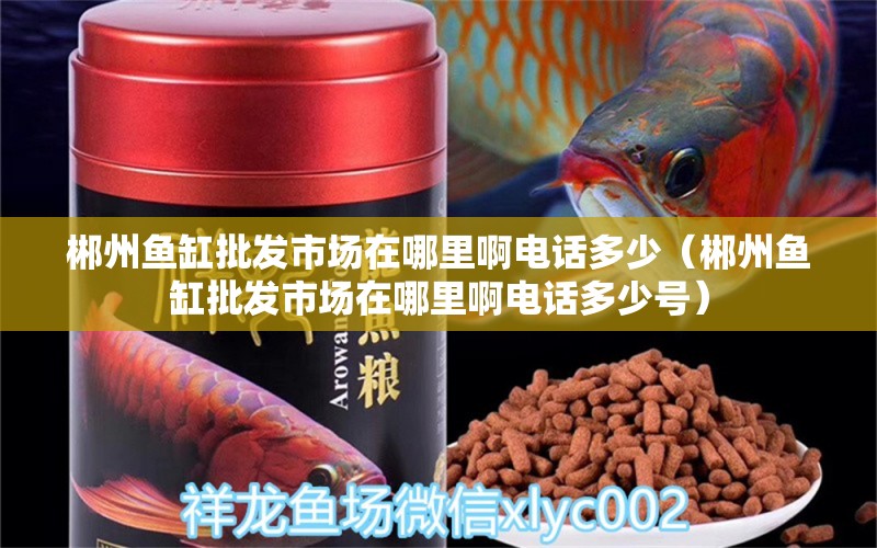 郴州魚缸批發(fā)市場在哪里啊電話多少（郴州魚缸批發(fā)市場在哪里啊電話多少號） 觀賞魚市場（混養(yǎng)魚）