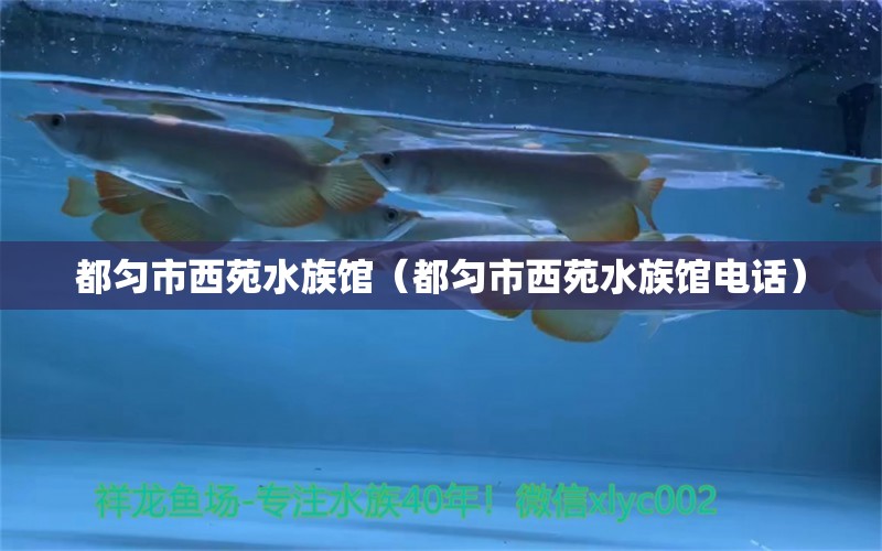 都勻市西苑水族館（都勻市西苑水族館電話）