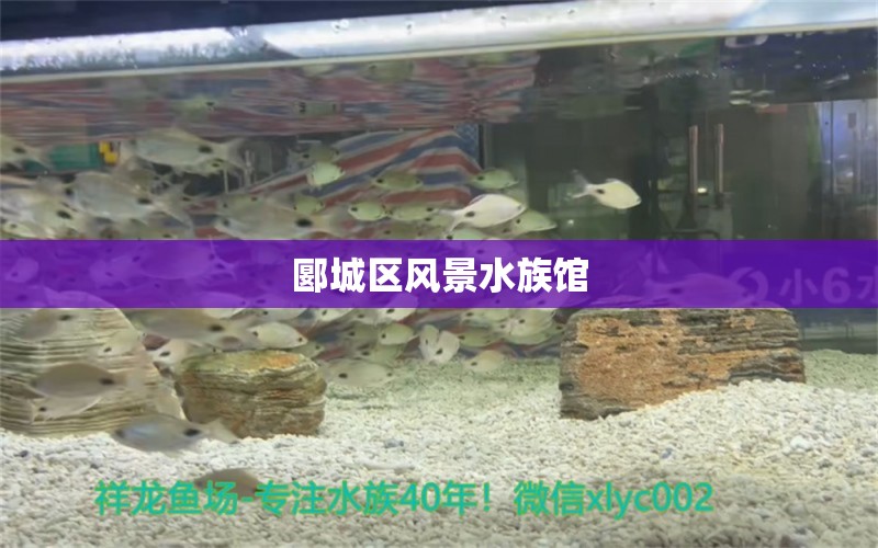 郾城區(qū)風(fēng)景水族館