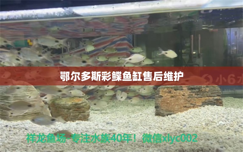 鄂爾多斯彩鰈魚缸售后維護(hù) 彩鰈魚缸（彩蝶魚缸）