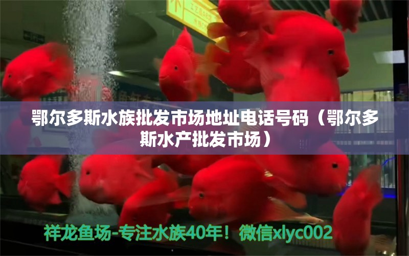 鄂爾多斯水族批發(fā)市場地址電話號碼（鄂爾多斯水產(chǎn)批發(fā)市場）