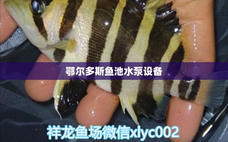 鄂爾多斯魚(yú)池水泵設(shè)備