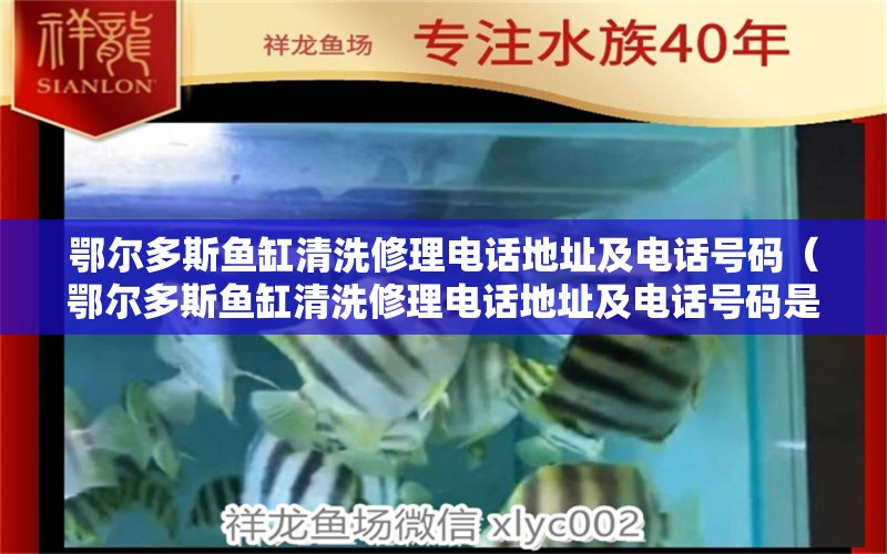 鄂爾多斯魚缸清洗修理電話地址及電話號碼（鄂爾多斯魚缸清洗修理電話地址及電話號碼是多少） 觀賞魚市場（混養(yǎng)魚）