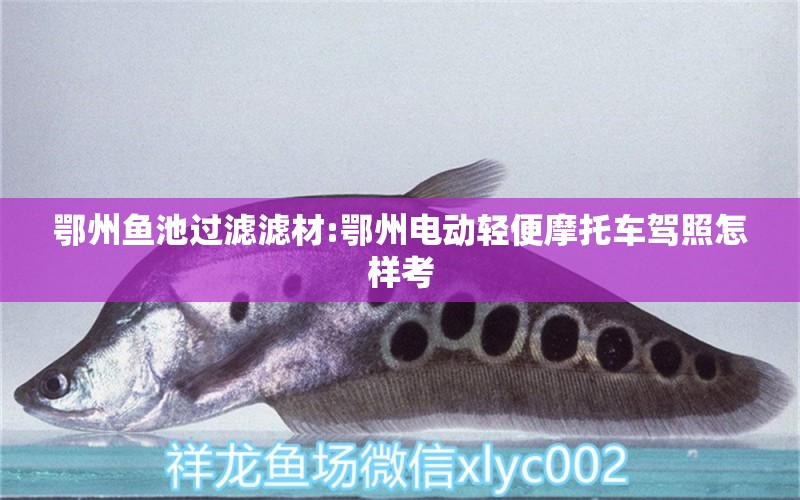 鄂州魚池過(guò)濾濾材:鄂州電動(dòng)輕便摩托車駕照怎樣考