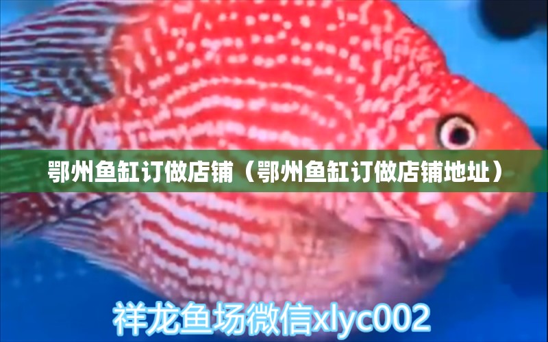 鄂州魚缸訂做店鋪（鄂州魚缸訂做店鋪地址）