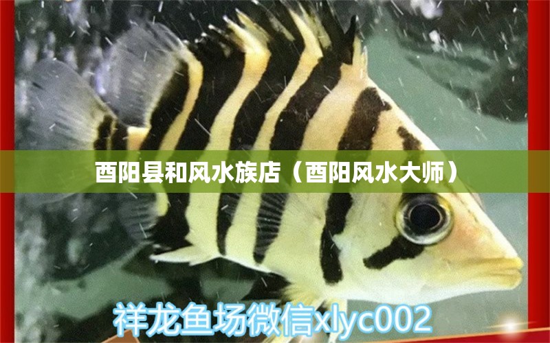 酉陽縣和風水族店（酉陽風水大師） 魚缸風水