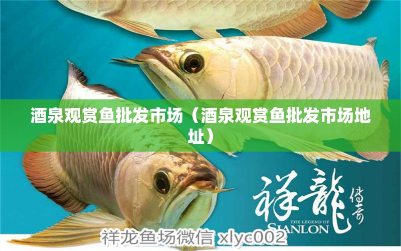 酒泉觀賞魚批發(fā)市場（酒泉觀賞魚批發(fā)市場地址）