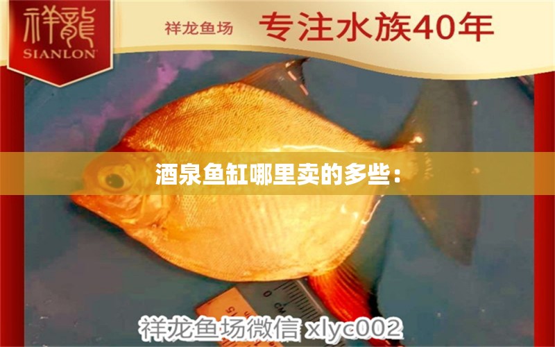 酒泉魚(yú)缸哪里賣的多些：