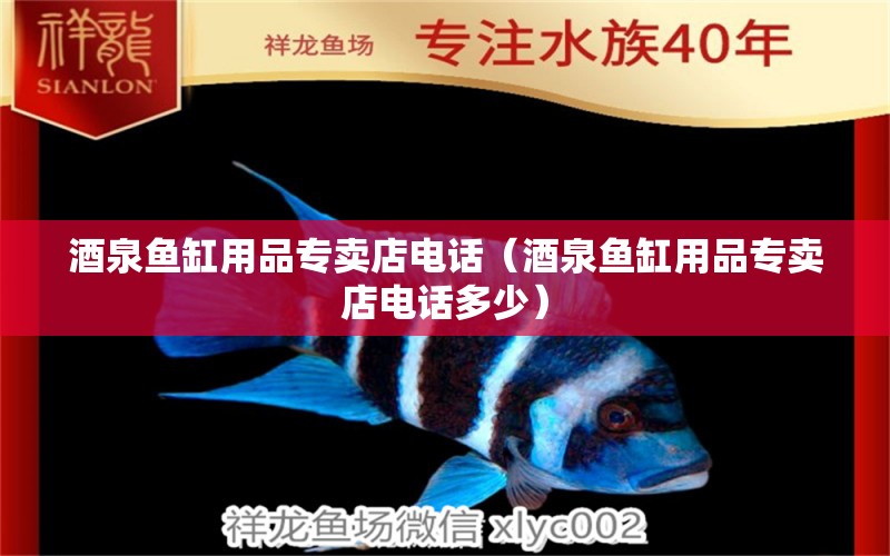 酒泉魚(yú)缸用品專賣店電話（酒泉魚(yú)缸用品專賣店電話多少） 斑馬鴨嘴魚(yú)