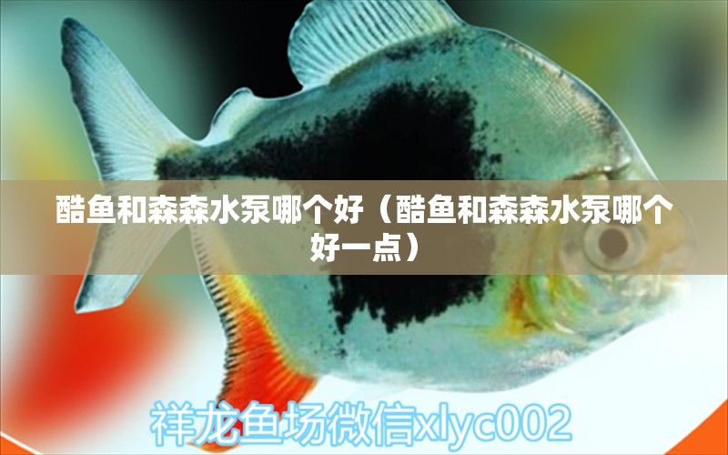 酷魚和森森水泵哪個(gè)好（酷魚和森森水泵哪個(gè)好一點(diǎn)）