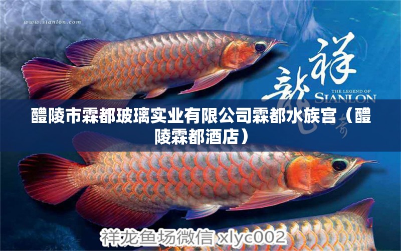 醴陵市霖都玻璃實業(yè)有限公司霖都水族宮（醴陵霖都酒店） 全國水族館企業(yè)名錄