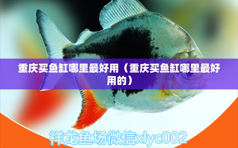 重慶買魚缸哪里最好用（重慶買魚缸哪里最好用的） 其他品牌魚缸