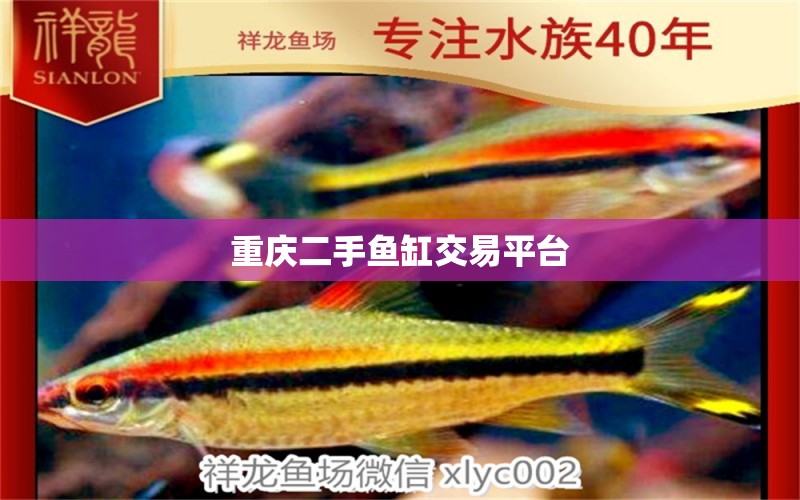 重慶二手魚缸交易平臺(tái)