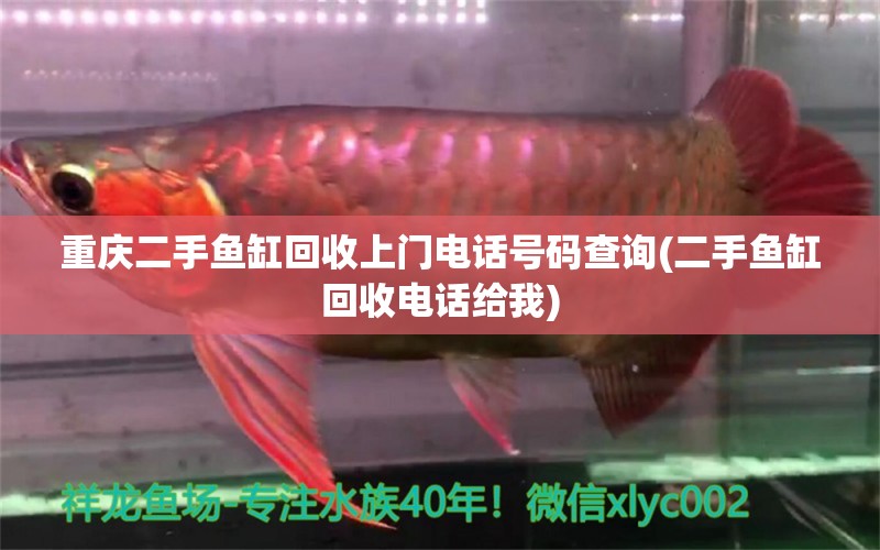 重慶二手魚缸回收上門電話號碼查詢(二手魚缸回收電話給我) 黑白雙星