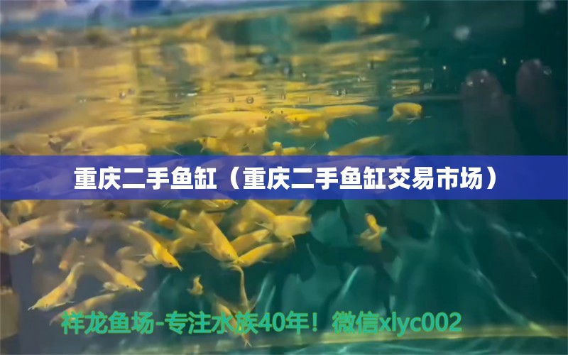 重慶二手魚缸（重慶二手魚缸交易市場） 潛水泵