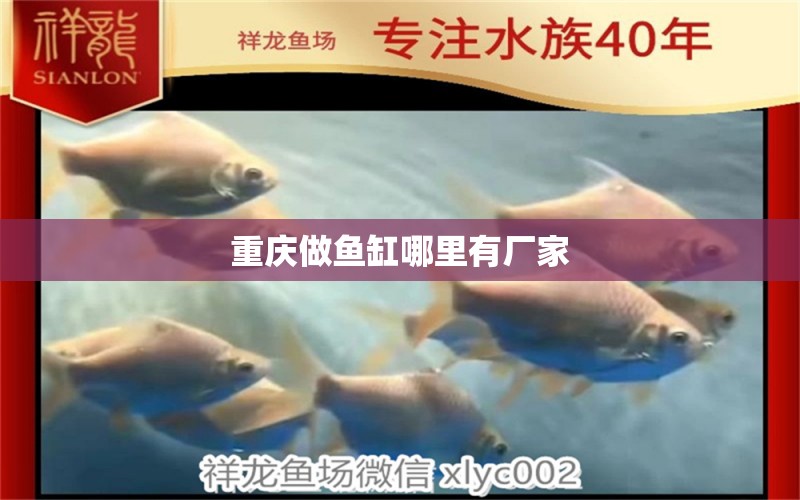 重慶做魚缸哪里有廠家 其他品牌魚缸