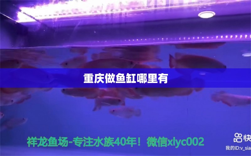 重慶做魚缸哪里有 其他品牌魚缸