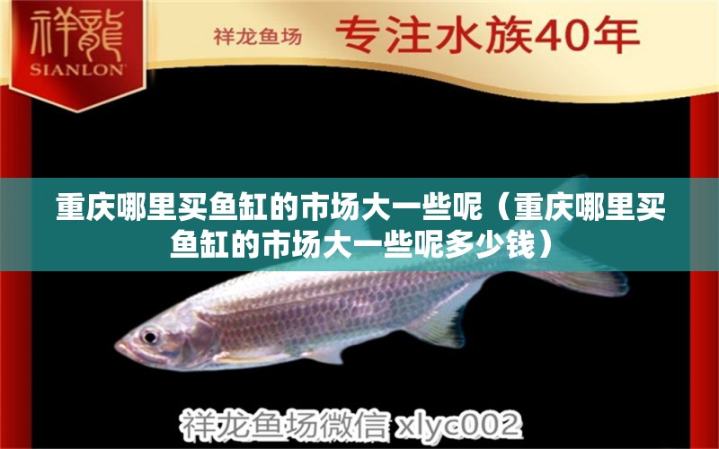 重慶哪里買魚缸的市場大一些呢（重慶哪里買魚缸的市場大一些呢多少錢）