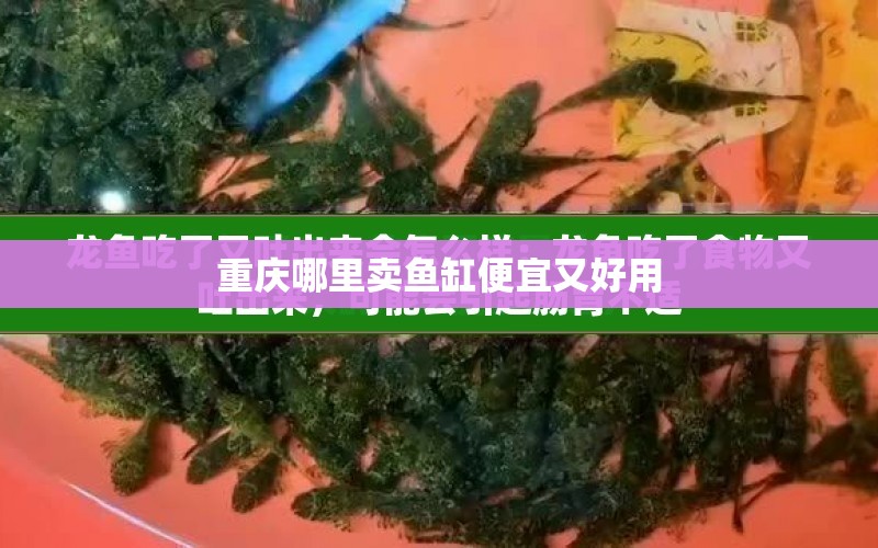 重慶哪里賣(mài)魚(yú)缸便宜又好用 水族問(wèn)答 第1張