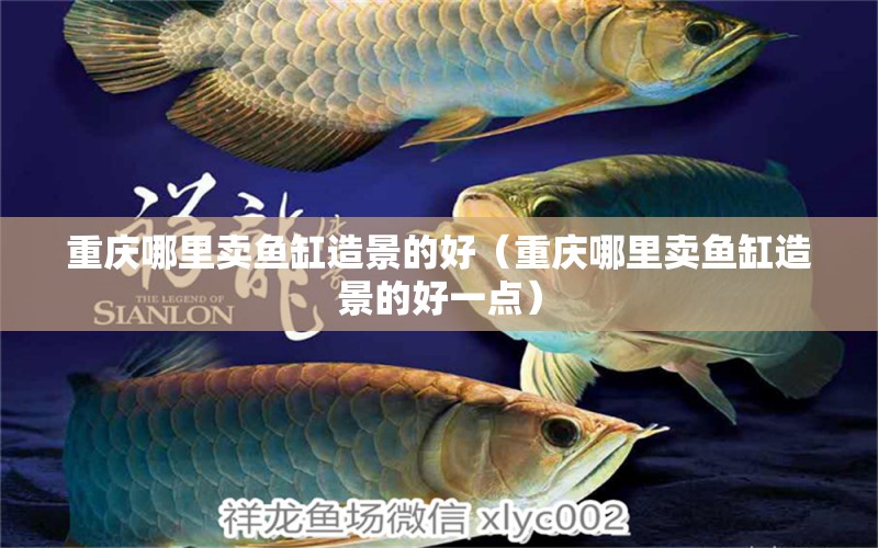 重慶哪里賣魚缸造景的好（重慶哪里賣魚缸造景的好一點(diǎn)）