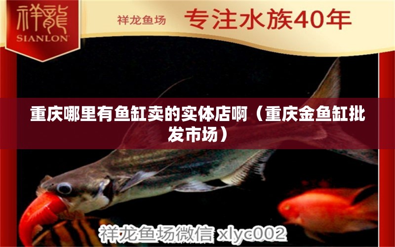 重慶哪里有魚(yú)缸賣的實(shí)體店?。ㄖ貞c金魚(yú)缸批發(fā)市場(chǎng)） 銀龍魚(yú)苗