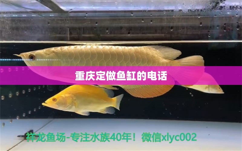 重慶定做魚缸的電話 其他品牌魚缸