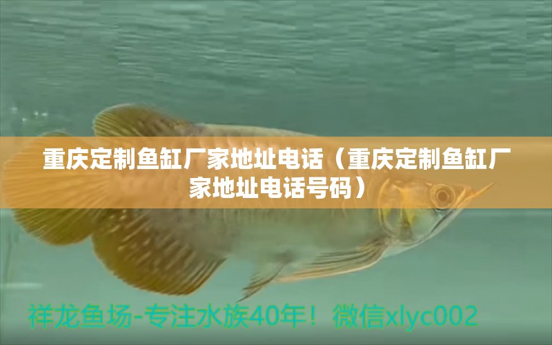 重慶定制魚缸廠家地址電話（重慶定制魚缸廠家地址電話號碼）